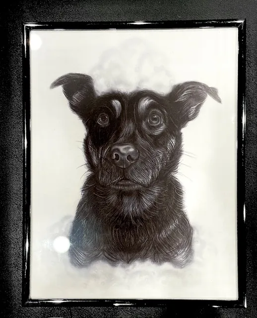 Chispas Dog Portrait