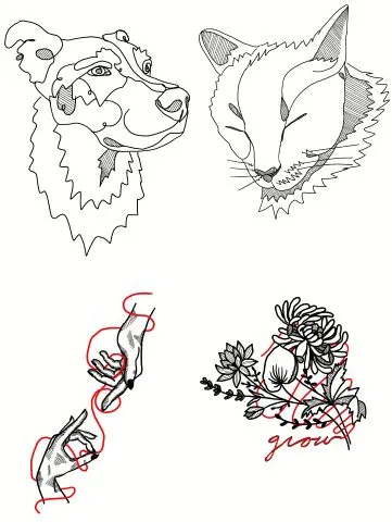 Animal and Red Ribbon Flash