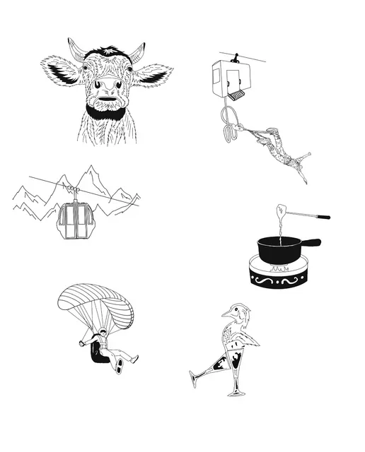 Switzerland Trip Flash